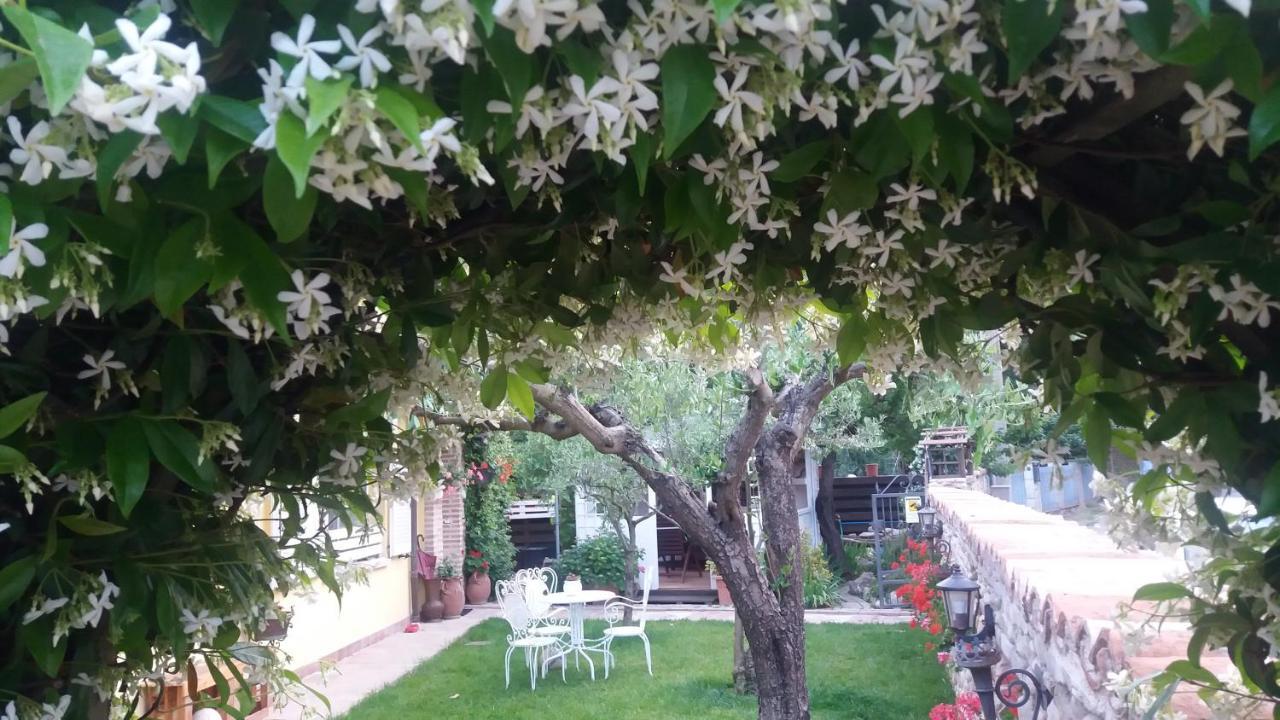 Ca Del Lago Misano Διαμέρισμα Misano Adriatico Εξωτερικό φωτογραφία